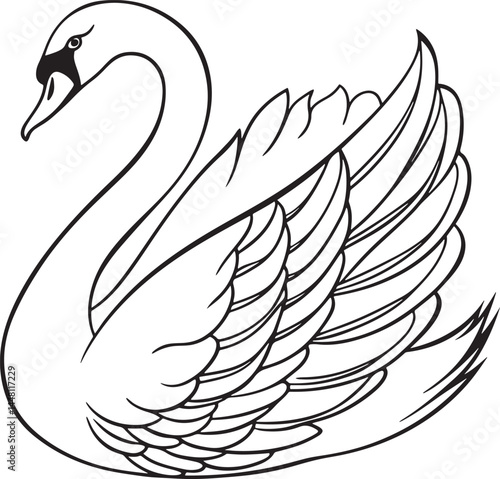 tundra swan bird silhouette vector illustration