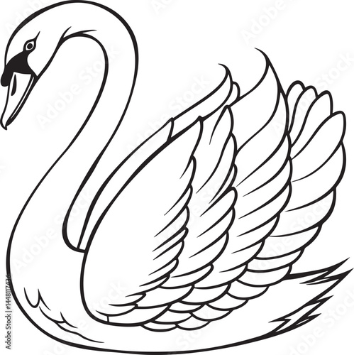tundra swan bird silhouette vector illustration