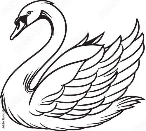 tundra swan bird silhouette vector illustration