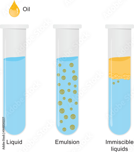 Vector illustration of emulsion of two liquids (oil and water) in tubes isolated on white background