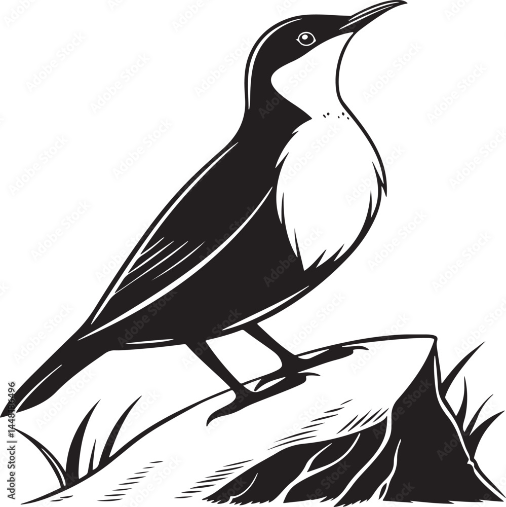 Naklejka premium White-Throated Dipper bird silhouette vector Illustration