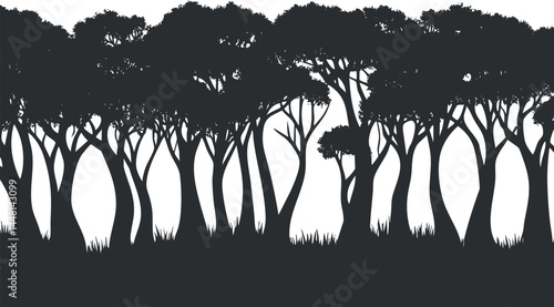 Silhouette of dense forest trees with visible trunks and foliage against a white background