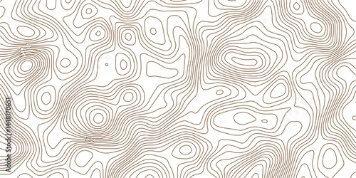 Abstract modern stylized black and grey white curve wave line smooth stripe white background. Use for banner, business, presentation illustration.