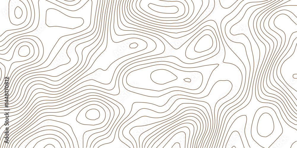 Fototapeta premium Abstract modern stylized black and grey white curve wave line smooth stripe white background. Use for banner, business, presentation illustration.