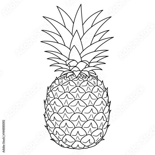 High-quality black and white line drawing of a tropical pineapple. Ideal for coloring books, artistic projects, or botanical studies. The intricate details of the pineapple make it excellent for creat