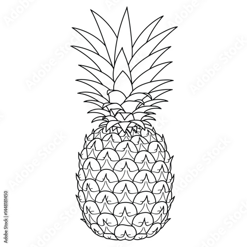 High-quality black and white line drawing of a tropical pineapple. Ideal for coloring books, artistic projects, or botanical studies. The intricate details of the pineapple make it excellent for creat