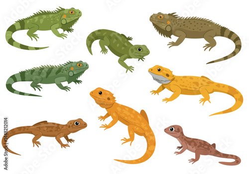 Colorful Reptilian Diversity A Collection of Various Lizard Species Illustrations