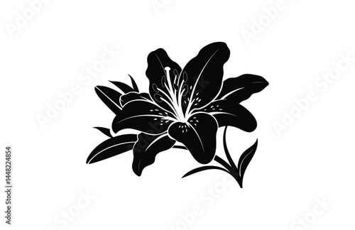 Lily flower black silhouette vector art design

