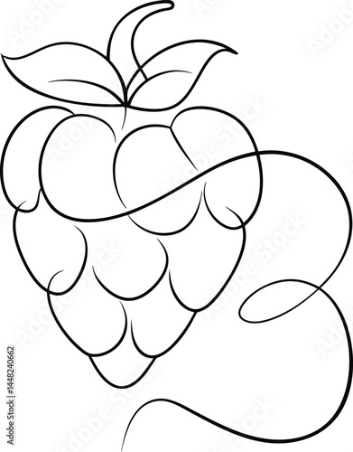 Minimalistic raspberry fruit sketch in continuous line art ideal for clean aesthetic designs natural food themes and fruit themed digital or print content