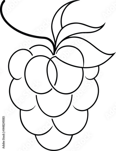 Continuous line drawing of raspberry fruit suitable for organic produce illustrations health food branding and minimalist botanical themed creative visuals