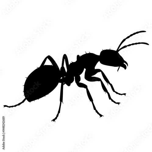 Black Silhouette of an Ant Isolated on White Background