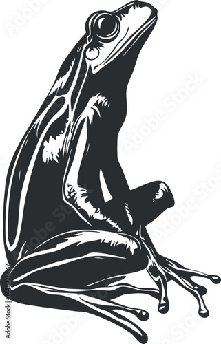 Black and white vector illustration of a frog sitting with detailed body and limbs visible