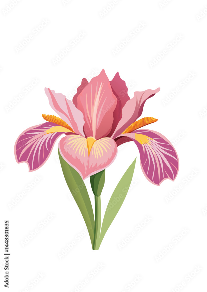 Fototapeta premium pink lily flower