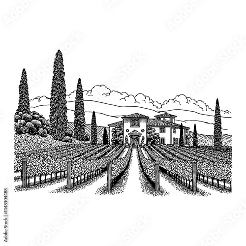 Mediterranean villa surrounded by lush vineyards tall cypress trees Black and White Outline Line Art Drawing
