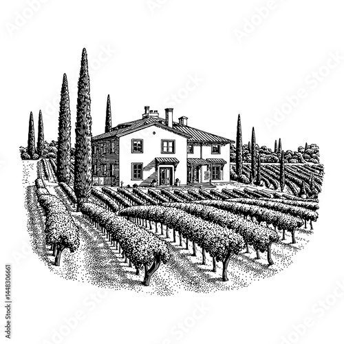 Mediterranean Villa Surrounded by Lush Vineyards and Tall Cypress Trees Black and White Outline Line Art Drawing