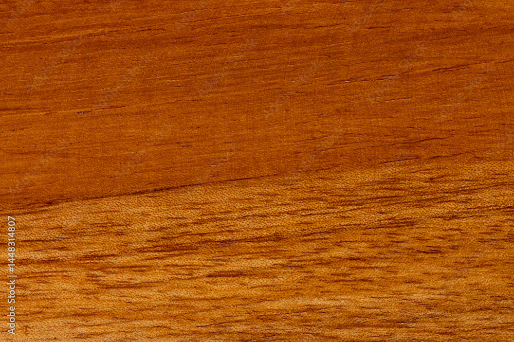 Macro of tree wood surface background