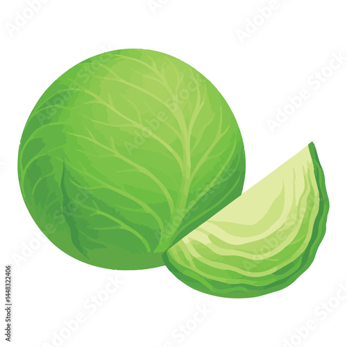 Fresh green vector cabbage with cut wedge on a white background. Realistic vector illustration of whole green cabbage with a sliced wedge. Perfect for food packaging, menus, farming ads and so on.