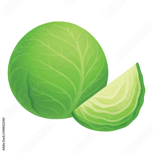Fresh green vector cabbage with cut wedge on a white background. Realistic vector illustration of whole green cabbage with a sliced wedge. Perfect for food packaging, menus, farming ads and so on.