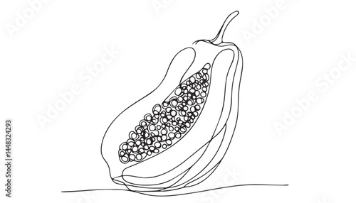 Continuous one single minimal line drawing Papaya