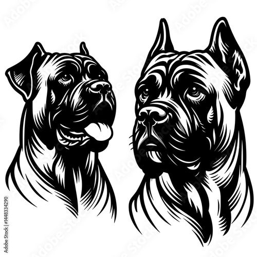 Two Stylish Cane Corso Dog Heads in Bold Black and White Art  