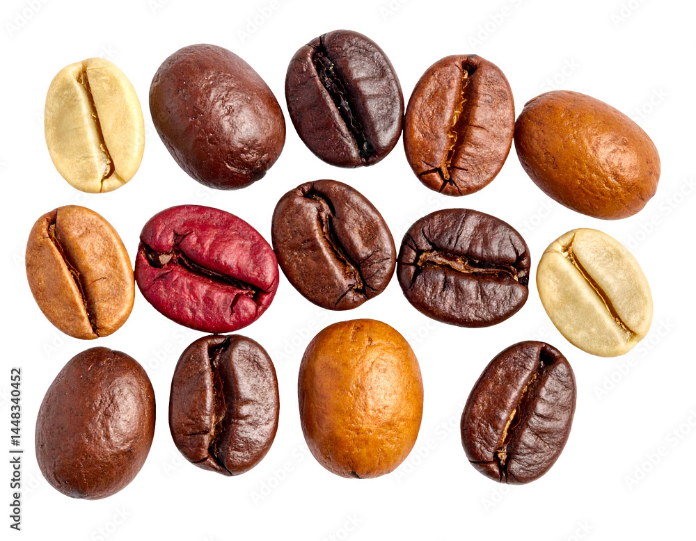 Fototapeta premium colorful roasted and raw coffee beans in various shades on isolated background for coffee concept and design 