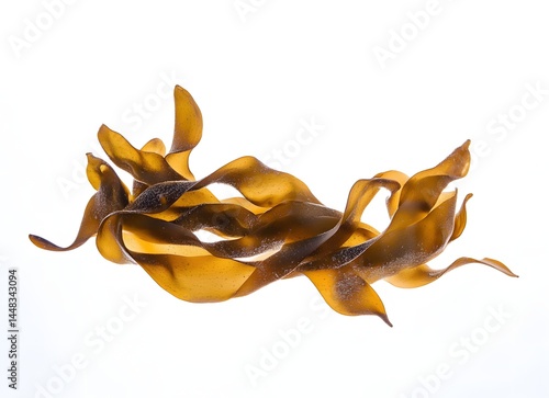 Brown kelp isolated on white background.