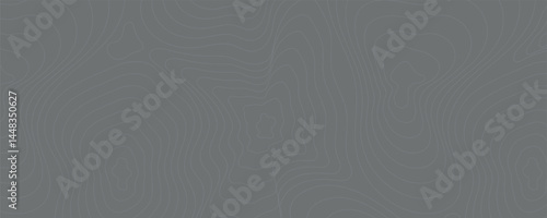 Abstract wave paper curved reliefs background. Geographical lines background Topographic Lines.