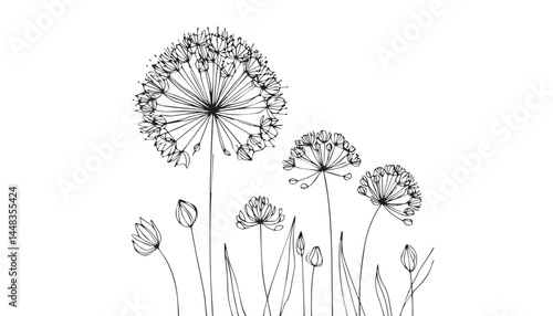 Continuous one single minimal line drawing spring