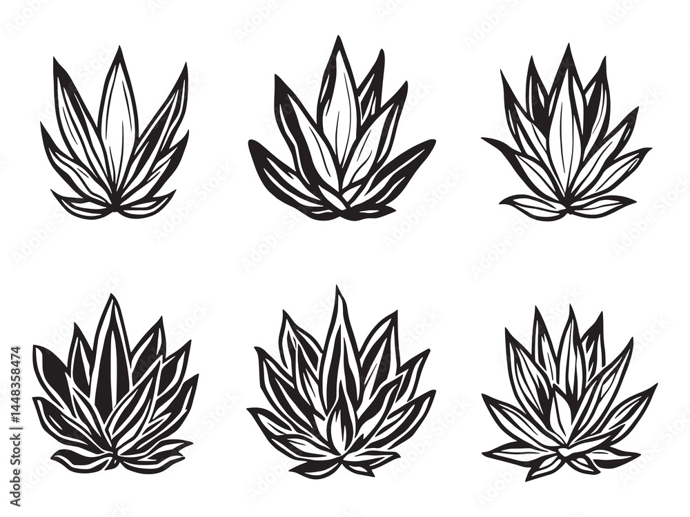 Obraz premium Agave Plant in Stylish and Smooth Line Art Design