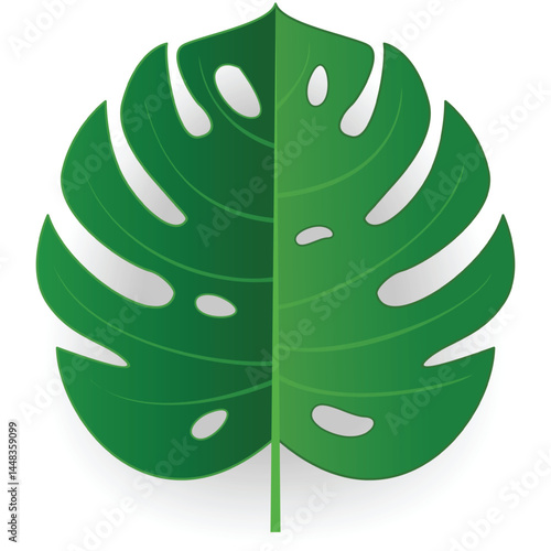 Green palm leaf vector. Tropical single tree branch isolated icon. Jungle rainforest foliage design illustration. Exotic hawaiian flora on white background. Monstera deliciosa palmetto
