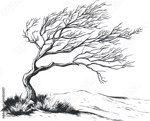 Black and white sketch of a bent tree with bare branches blowing in the wind in a natural landscape.