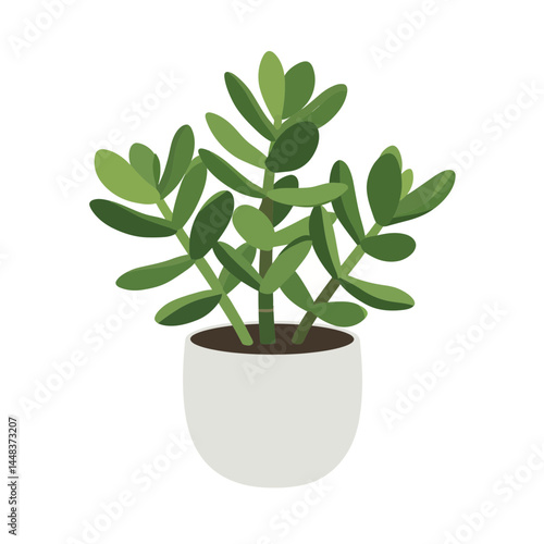 Simple vector illustration of a Crassula ovata (Jade plant) in a minimal round pot with fleshy green leaves on a white background, concept for interior design and landscape design