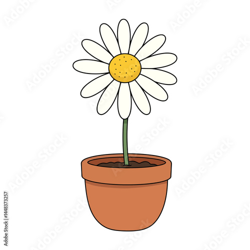 Simple vector illustration of a daisy in a round terracotta pot, isolated on white background; concept for gardening, botany, and home decor design