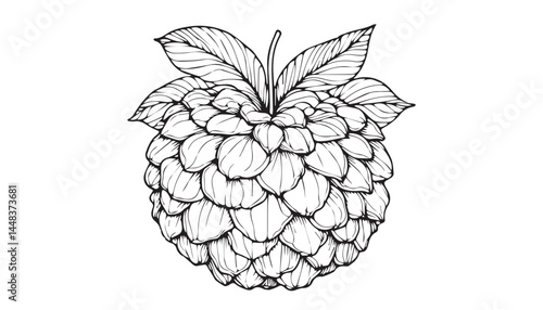 Continuous one single minimal line drawing custard apple