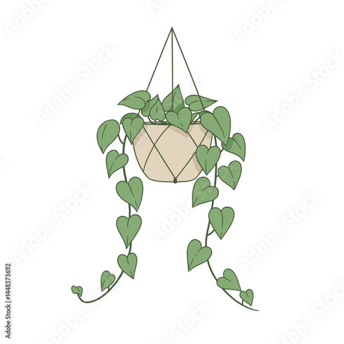 Simple vector illustration of a pothos plant in a hanging pot with heart-shaped leaves against a white background, concept for interior design and home decor