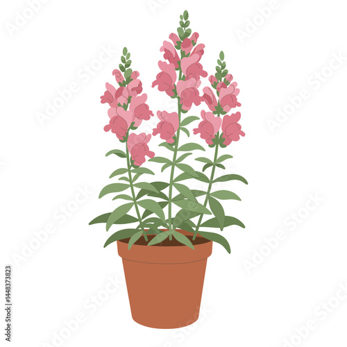 Simple vector illustration of snapdragon plants with pink flowers in a terracotta pot on white background, concept for gardening, floral design, and home decor
