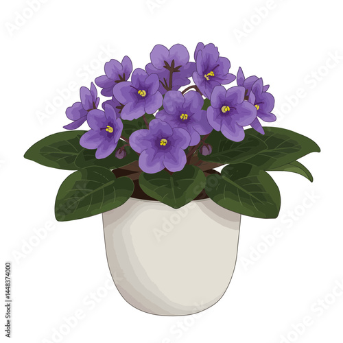 Simple vector illustration of an African violet with purple flowers in a small ceramic pot on a white background, concept for interior design and home decor