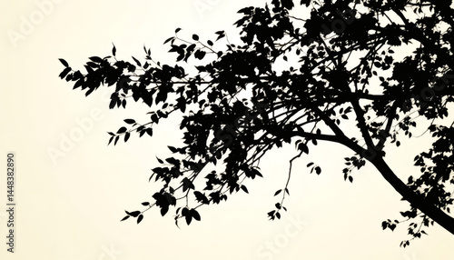 Elegant Silhouette of Tree with Leaves Blowing in Wind on White Background for Nature-Inspired Designs