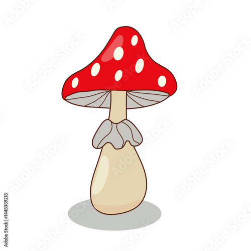 colorful, red fly agaric mushroom on a white background.