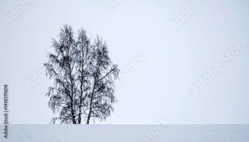 Wallpaper Mural Winters Embrace Bare Trees in a Snowy Expanse Torontodigital.ca