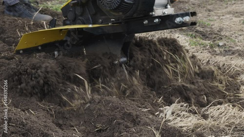 Wallpaper Mural A farmer uses a walk-behind tractor to plow a farm plot, preparing fertile soil in the spring for the upcoming planting season. Plowing a vegetable garden with a walk-behind tractor in the spring. Torontodigital.ca