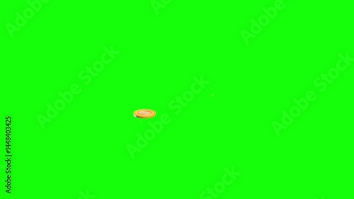 Coins 3D Animated Icon with green screen