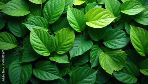 Intricate interwoven leaves forming a natural pattern , texture, abstract