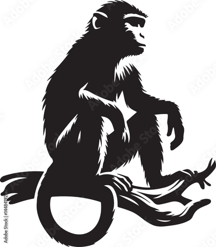  a assa mese macaque vector