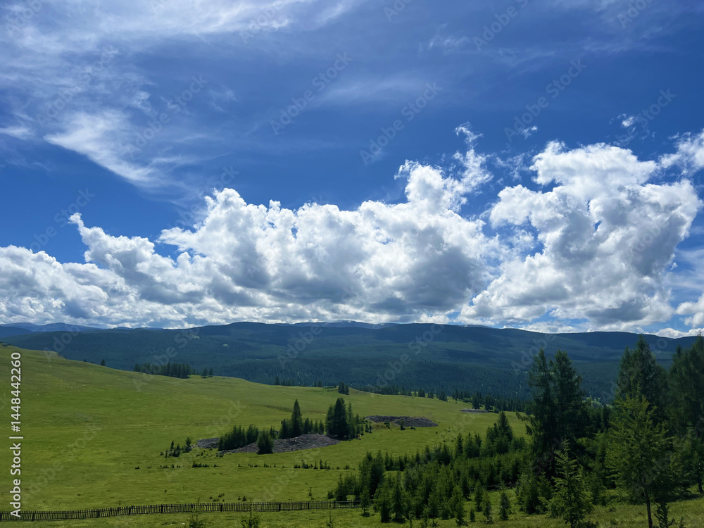 Naklejka premium Serene green landscape with blue sky and fluffy clouds over rolling hills and trees