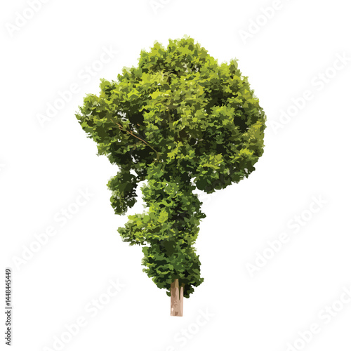 Vector watercolor green tree or forest side view isolated on white background for landscape and architecture drawing,elements for environment or and garden,Shrub for section