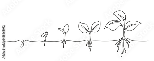 Continuous one line drawing of step of grow plant. Vector illustration. Editable stroke. Doodle Vector illustration	