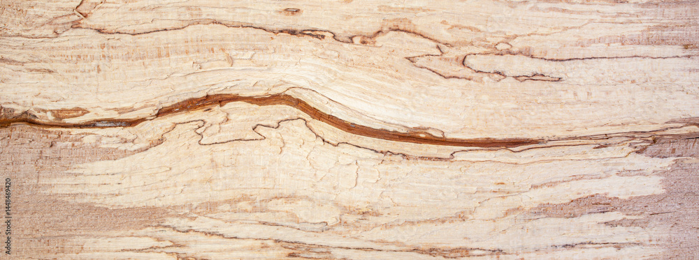 Split log inside texture with brown veins and splinters , abstract wooden backdrop banner Split log inside texture with brown veins and splinters , abstract wooden backdrop banner