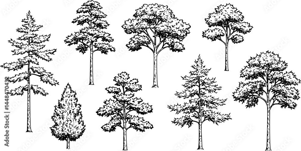 Fototapeta premium Hand-Drawn Tree Illustrations Black and White Vector Graphics Nature C