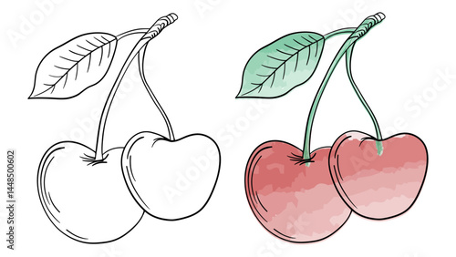 Hand drawn line art sketch cherry fruit. Watercolor cherries juicy berry water coloring page